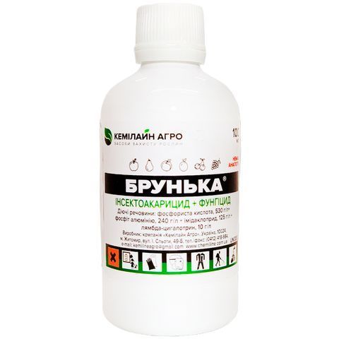 Почка 100 мл 3080 фото