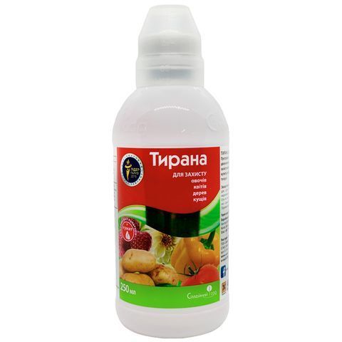 Тирана 250 мл 1494 фото